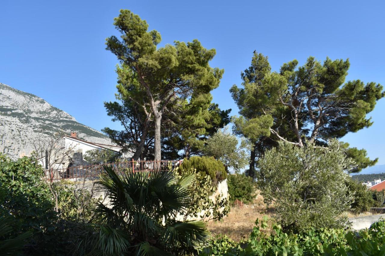 Pehar Makarska